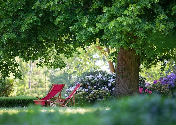 Hotel Berggasthof Wilhelmshoehe