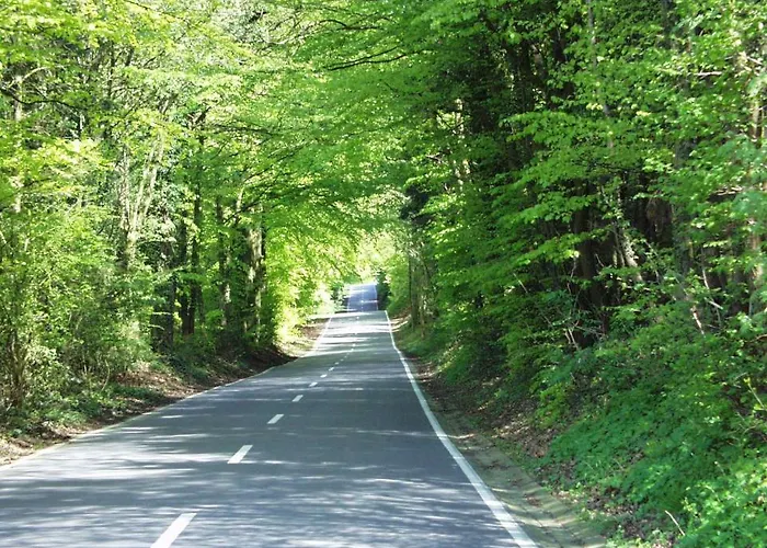 Berggasthof Wilhelmshoehe Hotel Stemwede